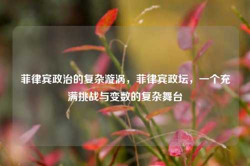 菲律宾政治的复杂漩涡，菲律宾政坛，一个充满挑战与变数的复杂舞台