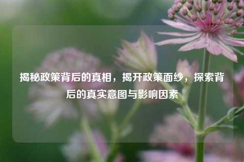 揭秘政策背后的真相，揭开政策面纱，探索背后的真实意图与影响因素