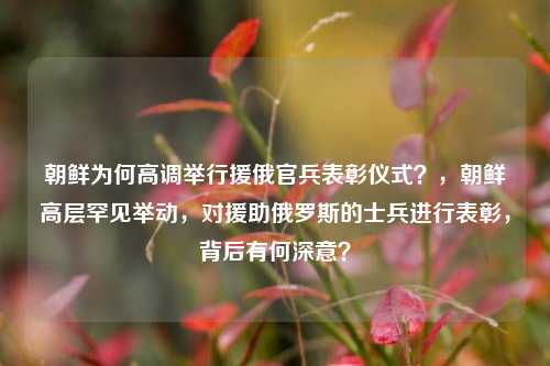 朝鲜为何高调举行援俄官兵表彰仪式？，朝鲜高层罕见举动，对援助俄罗斯的士兵进行表彰，背后有何深意？