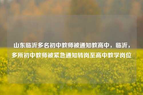 山东临沂多名初中教师被通知教高中，临沂，多所初中教师被紧急通知转岗至高中教学岗位