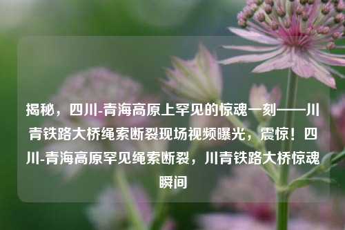 揭秘，四川-青海高原上罕见的惊魂一刻——川青铁路大桥绳索断裂现场视频曝光，震惊！四川-青海高原罕见绳索断裂，川青铁路大桥惊魂瞬间