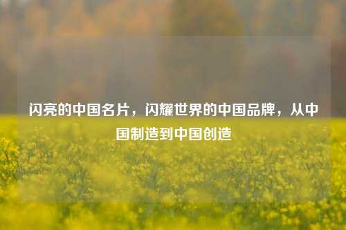 闪亮的中国名片，闪耀世界的中国品牌，从中国制造到中国创造