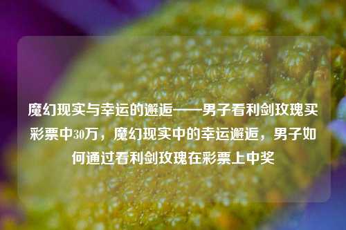 魔幻现实与幸运的邂逅——男子看利剑玫瑰买彩票中30万，魔幻现实中的幸运邂逅，男子如何通过看利剑玫瑰在彩票上中奖