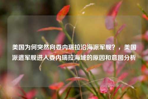 美国为何突然向委内瑞拉沿海派军舰？，美国派遣军舰进入委内瑞拉海域的原因和意图分析