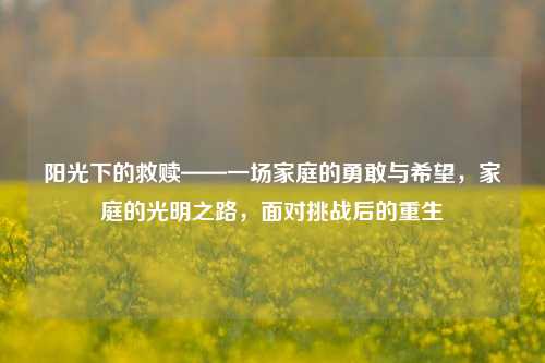 阳光下的救赎——一场家庭的勇敢与希望，家庭的光明之路，面对挑战后的重生