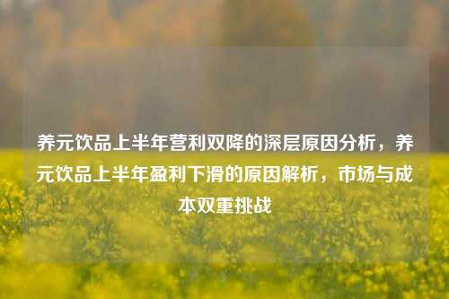 养元饮品上半年营利双降的深层原因分析，养元饮品上半年盈利下滑的原因解析，市场与成本双重挑战