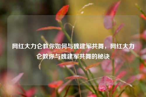 网红大力仑教你如何与魏建军共舞，网红大力仑教你与魏建军共舞的秘诀