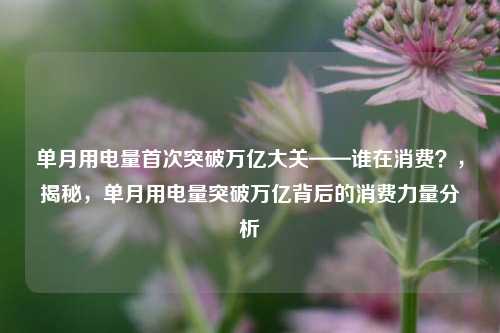单月用电量首次突破万亿大关——谁在消费？，揭秘，单月用电量突破万亿背后的消费力量分析