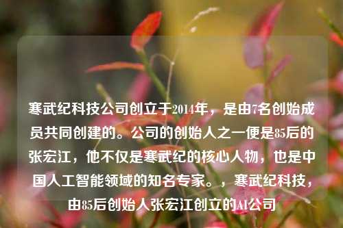 寒武纪科技公司创立于2014年，是由7名创始成员共同创建的。公司的创始人之一便是85后的张宏江，他不仅是寒武纪的核心人物，也是中国人工智能领域的知名专家。，寒武纪科技，由85后创始人张宏江创立的AI公司