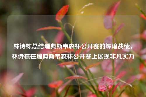 林诗栋总结瑞典斯韦森杯公开赛的辉煌战绩，林诗栋在瑞典斯韦森杯公开赛上展现非凡实力
