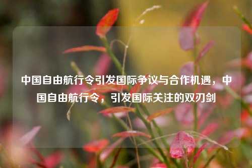 中国自由航行令引发国际争议与合作机遇，中国自由航行令，引发国际关注的双刃剑