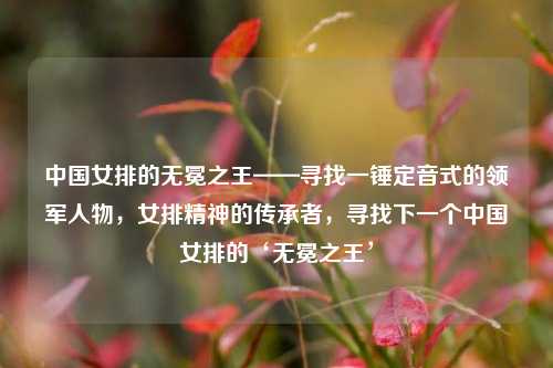 中国女排的无冕之王——寻找一锤定音式的领军人物，女排精神的传承者，寻找下一个中国女排的‘无冕之王’