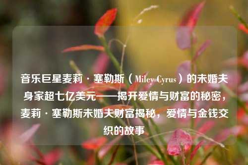 音乐巨星麦莉·塞勒斯（Miley Cyrus）的未婚夫身家超七亿美元——揭开爱情与财富的秘密，麦莉·塞勒斯未婚夫财富揭秘，爱情与金钱交织的故事