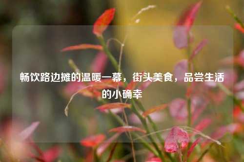 畅饮路边摊的温暖一幕，街头美食，品尝生活的小确幸